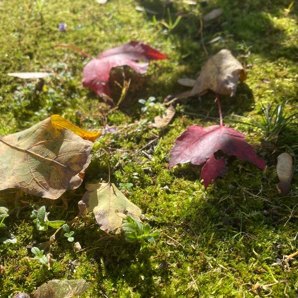 NEW INVENTORY 🌞 - Picture 7 of 15